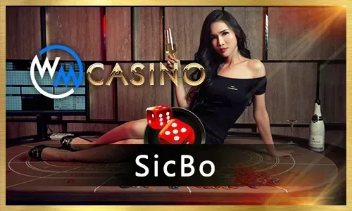 Selection of popular slot and live casino games at plus777